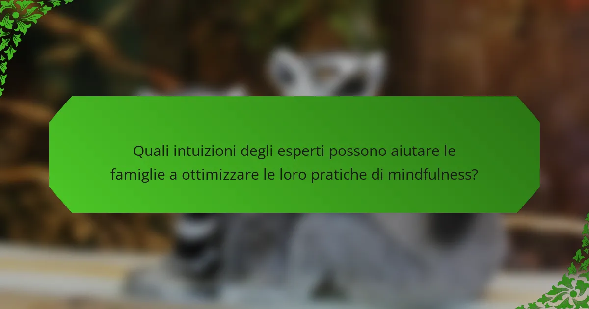 Quali intuizioni degli esperti possono aiutare le famiglie a ottimizzare le loro pratiche di mindfulness?
